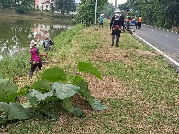 กองช่างเทศบาลตำบลกุดดู่  ตัดหญ้าทำควา...