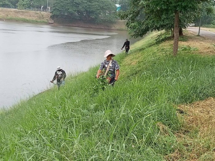 กองช่างฯ ดำเนินการตัดหญ้าทำความสะอาดบ...