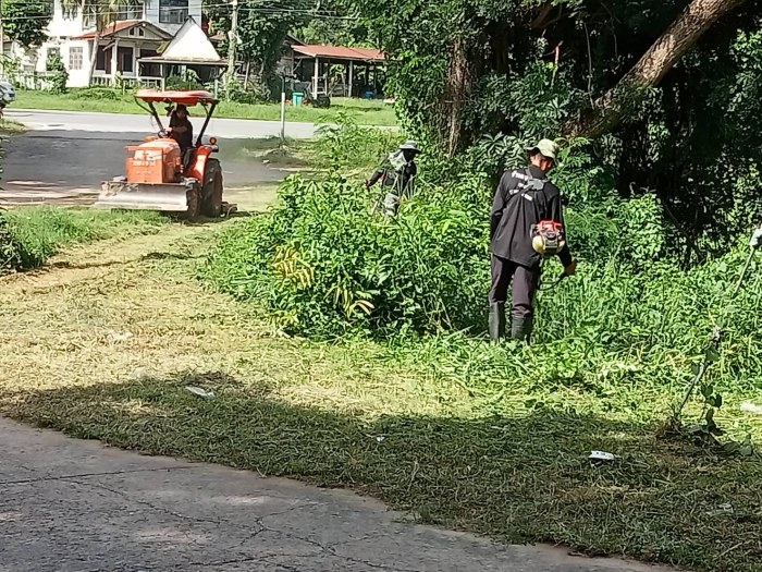 กองช่างเทศบาลตำบลกุดดู่ ดำเนินการตัดห...