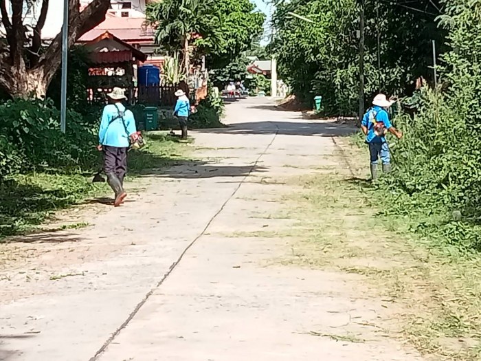 ตัดหญ้าบริเวณถนนสันติสุข2 หมู่ที่ 1